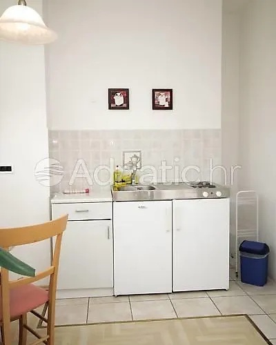 Palme * אופטיה